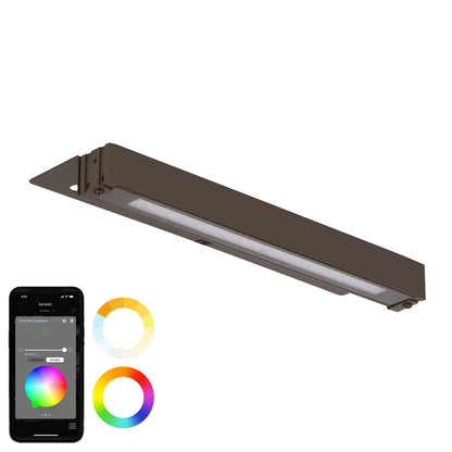 WAC Colorscaping Smart LED Hardscape Light – Bronze
