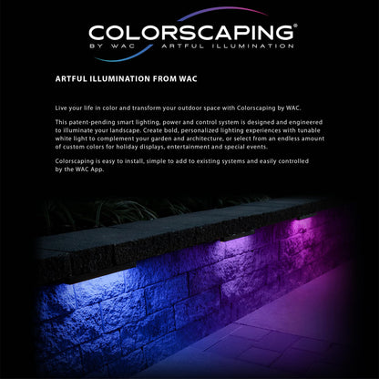 WAC Colorscaping Smart LED Tiki Path Light