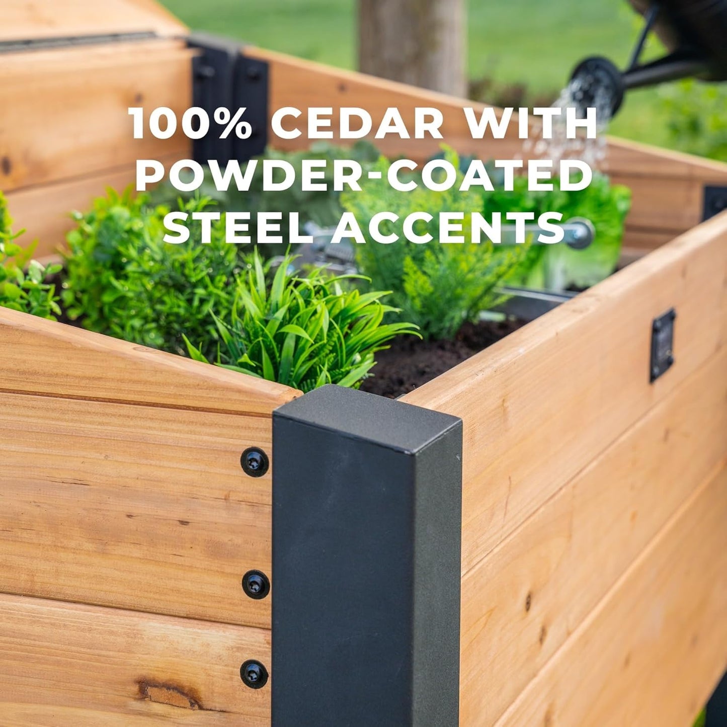Backyard Discovery Aggie Cedar Cold Frame Greenhouse