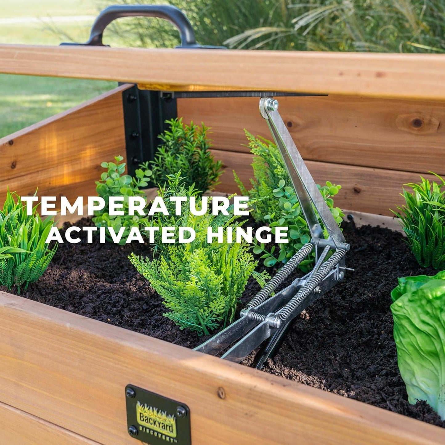 Backyard Discovery Aggie Cedar Cold Frame Greenhouse