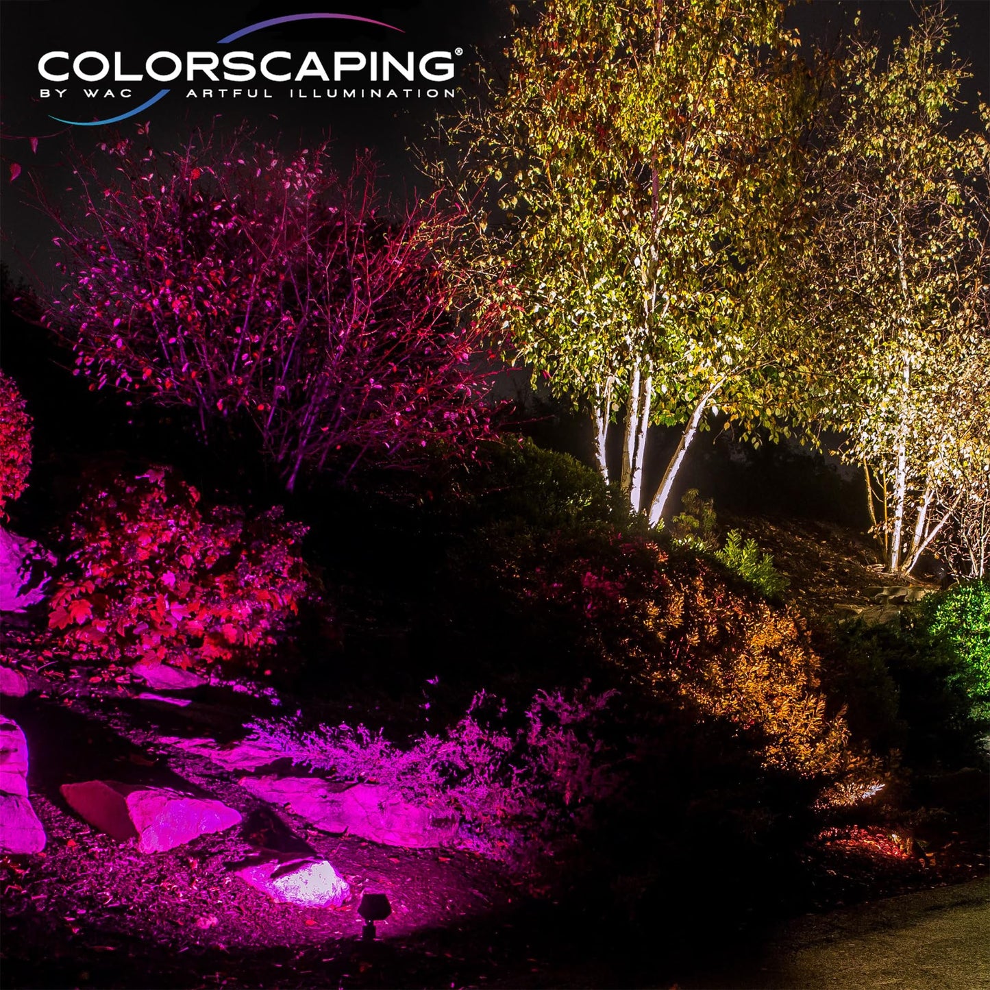 WAC Colorscaping Smart LED Tiki Path Light