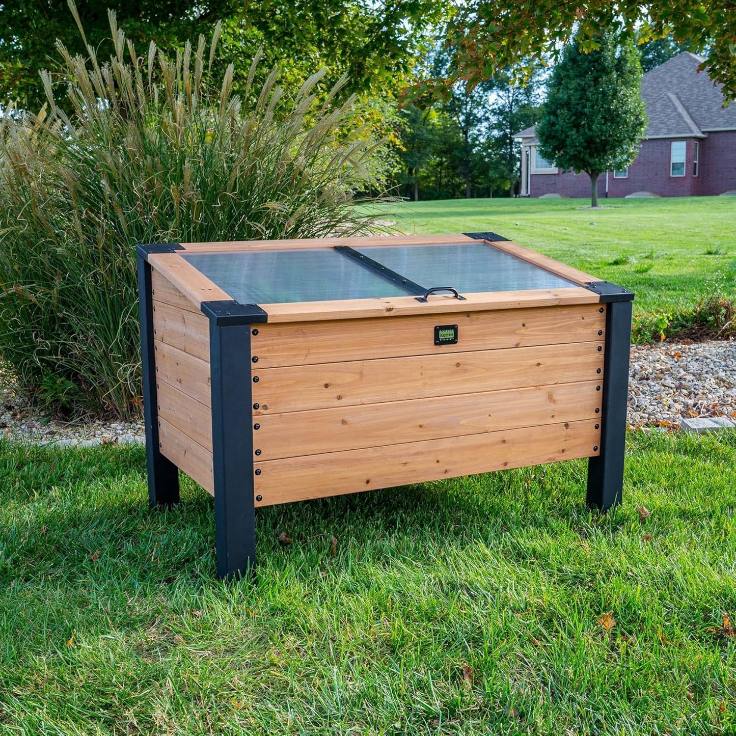 Backyard Discovery Aggie Cedar Cold Frame Greenhouse