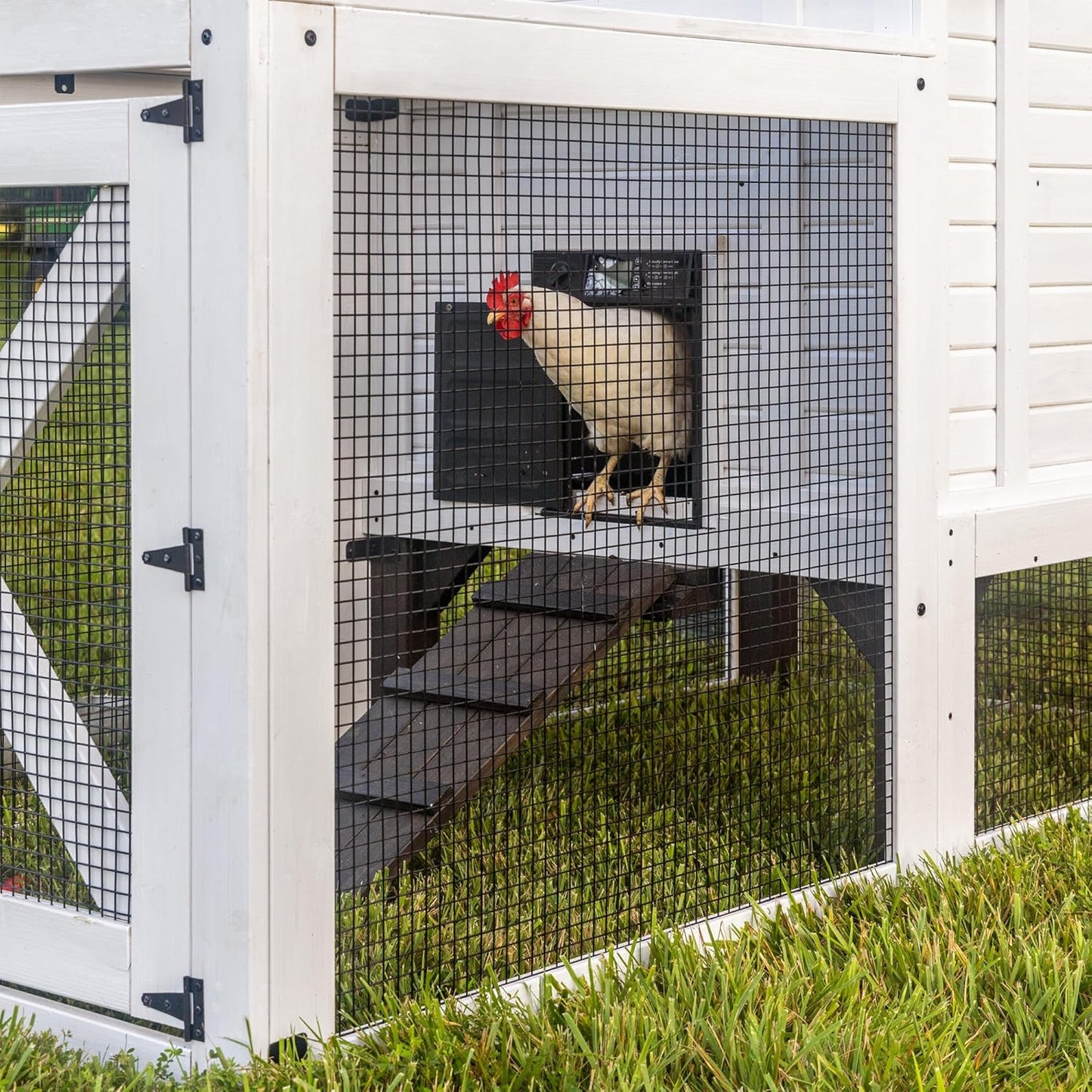Backyard Discovery Sweetwater Cedar Chicken Coop