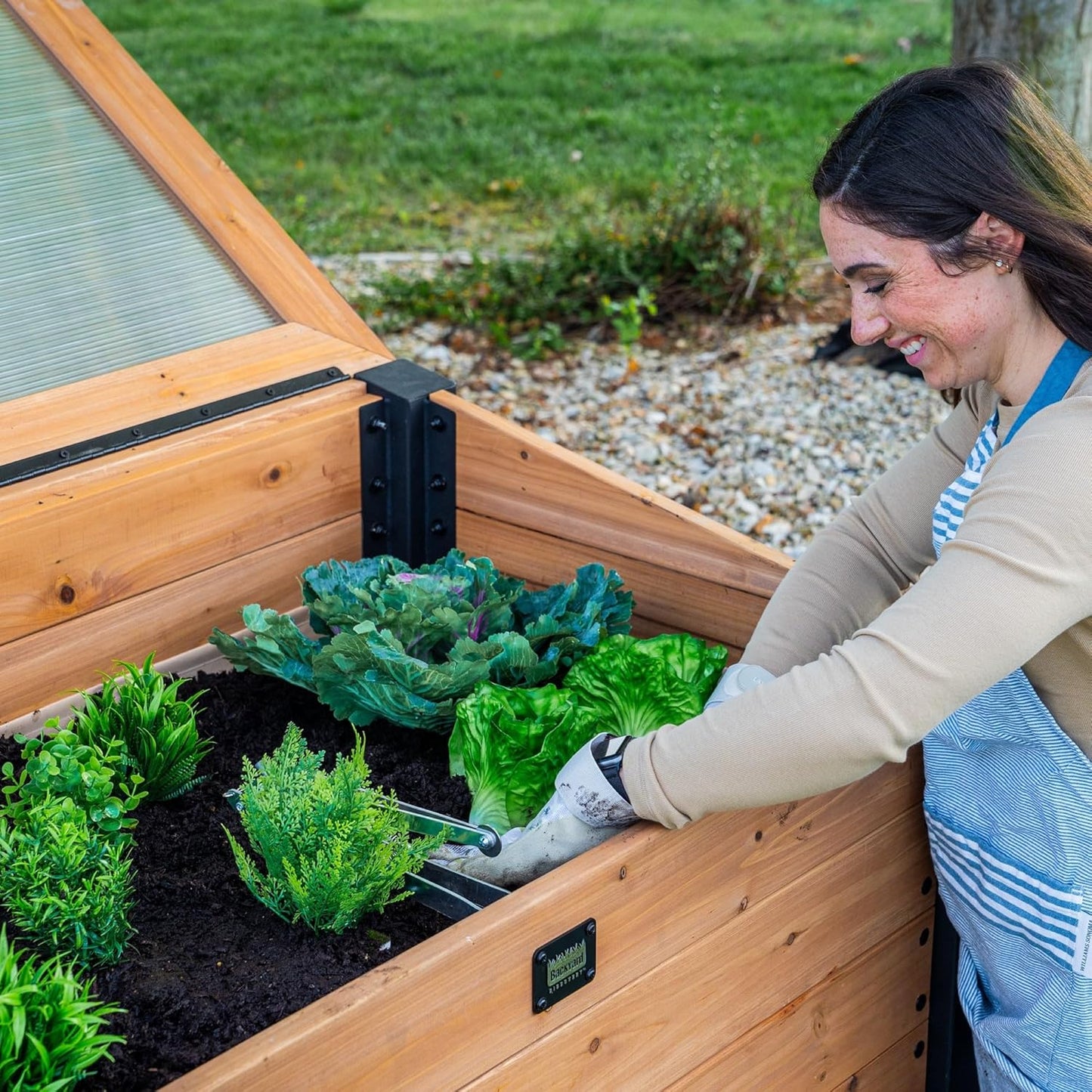 Backyard Discovery Aggie Cedar Cold Frame Greenhouse